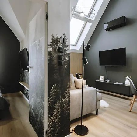 Cyrhla 17g Apartment Zakopane